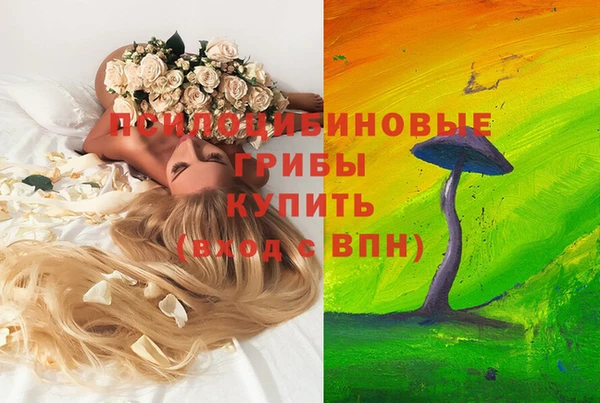 круглые Алексеевка